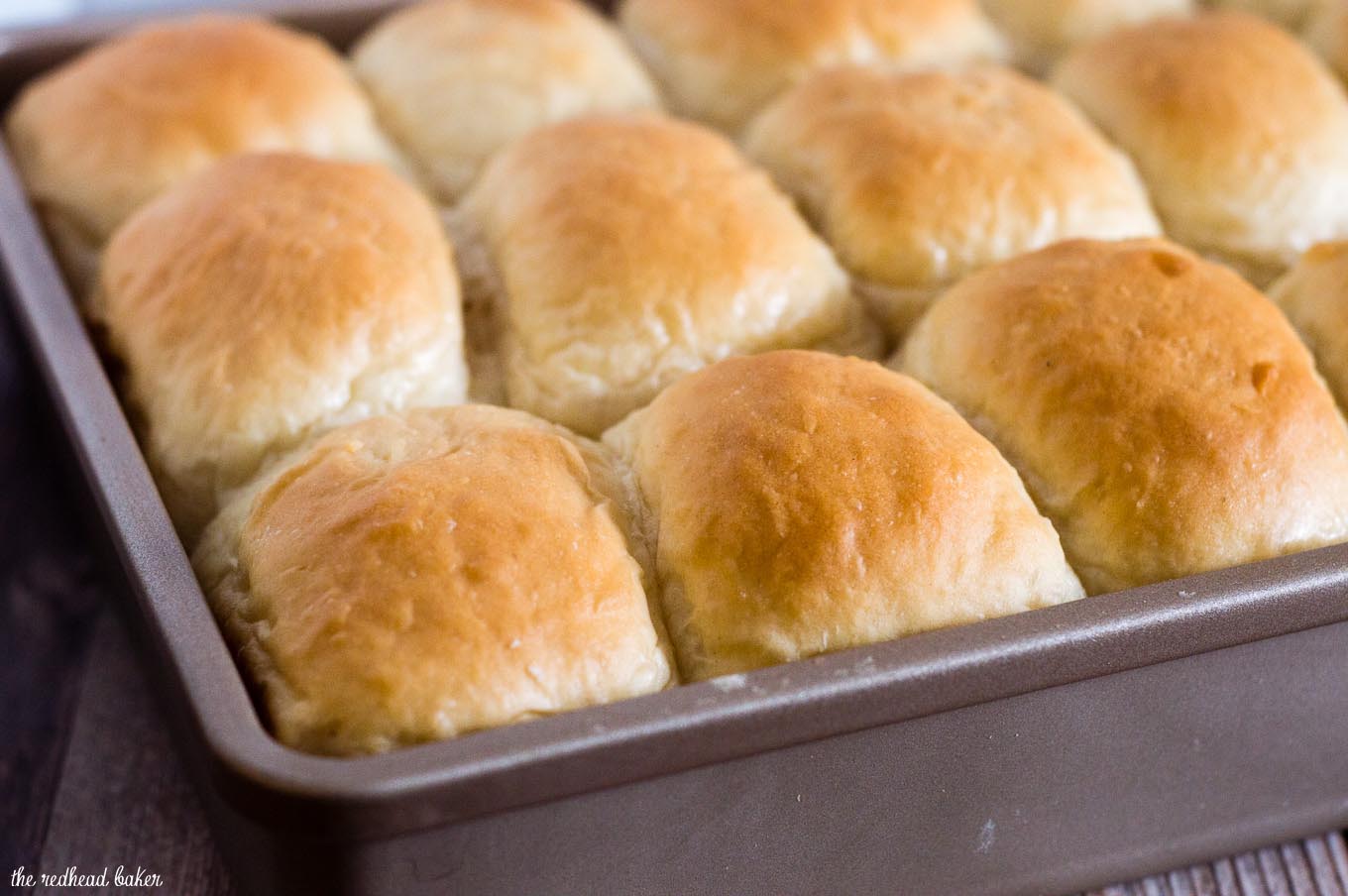 Fluffy potato rolls are soft, light and more flavorful than plain rolls. They stay soft for several days, so they're ideal for Thanksgiving. #SundaySupper