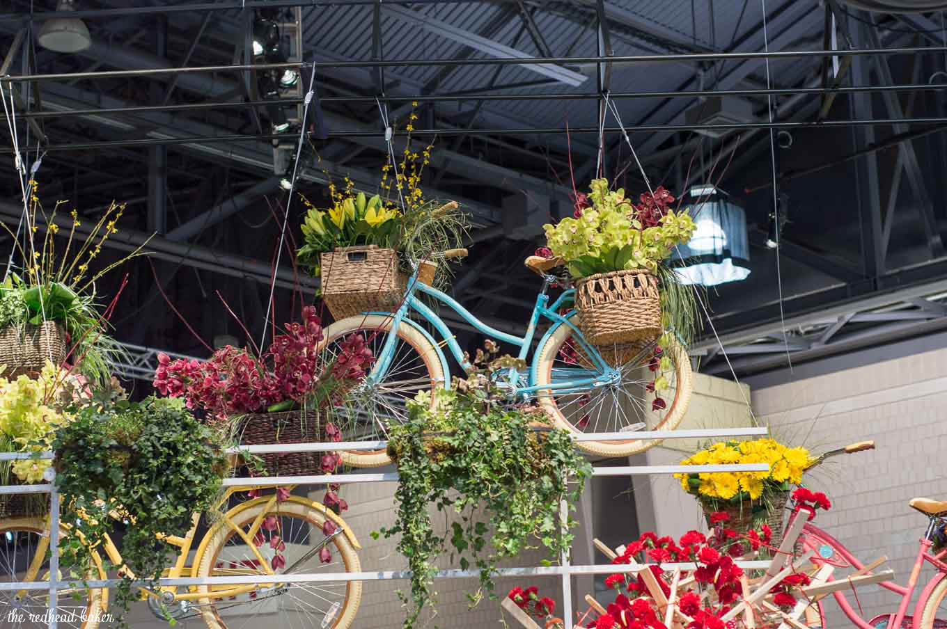 I'm sharing a few photos from this year's annual Philadelphia Flower Show, an event put on the Philadelphia Horticultural Society. This year's theme is Holland.