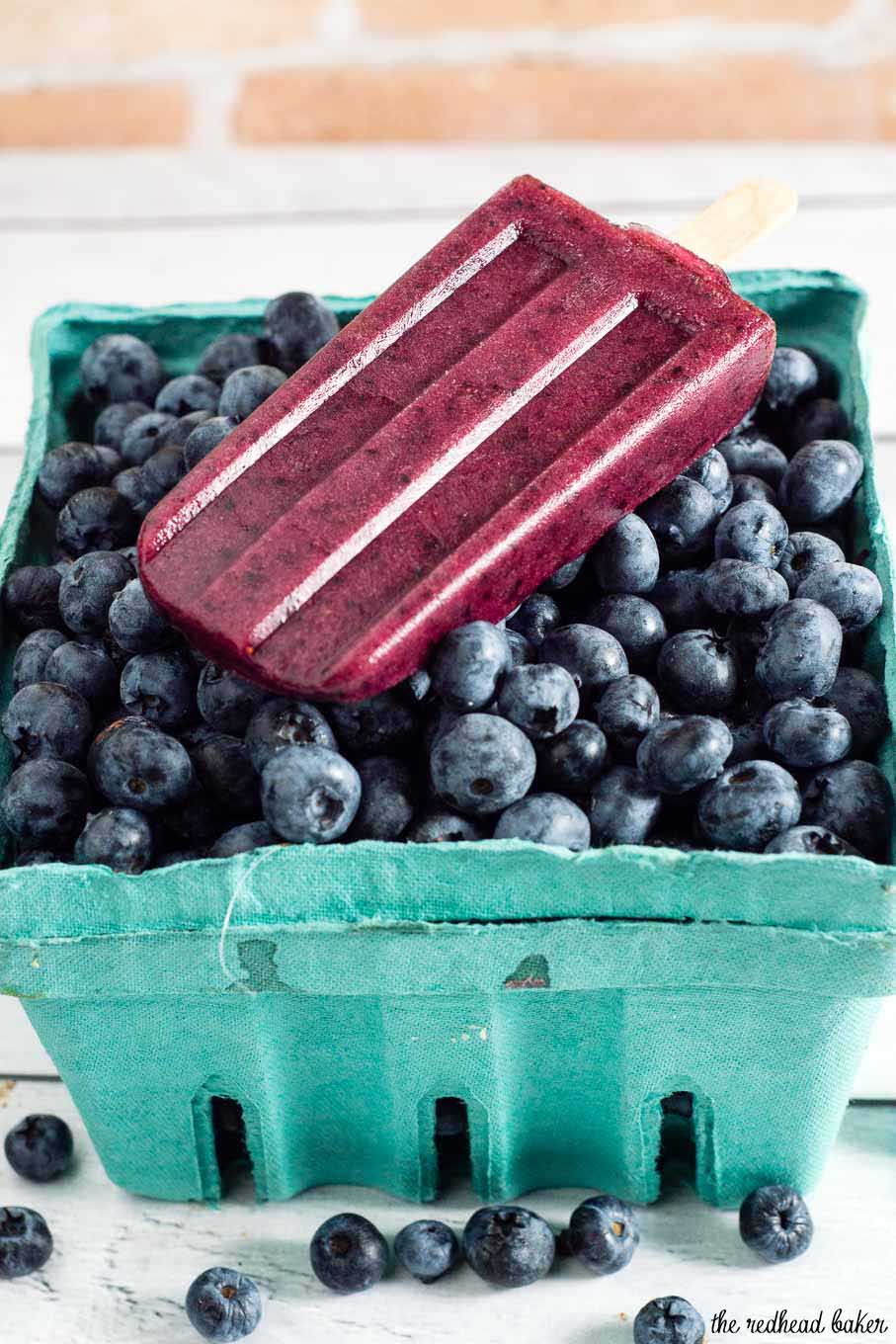 With just four ingredients, these simple frozen blueberry pops deliver intense blueberry flavor. They're perfect for cooling off on a hot summer day!