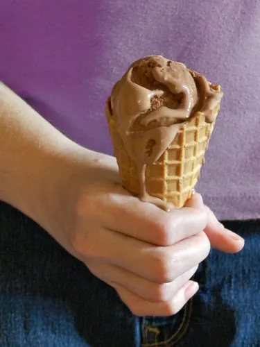 Double Chocolate Ice Cream