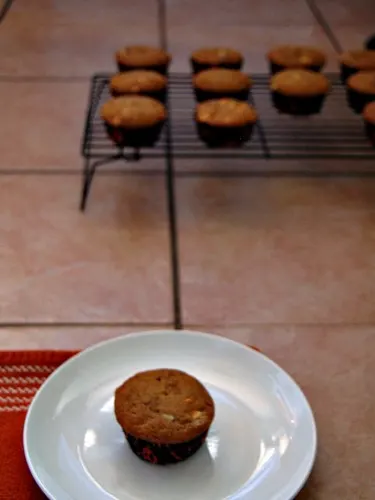 Pumpkin Cranberry White Chocolate Muffins #breakfast