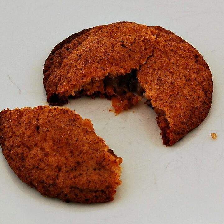 BlueberryApple Oat Dog Biscuits by The Redhead Baker