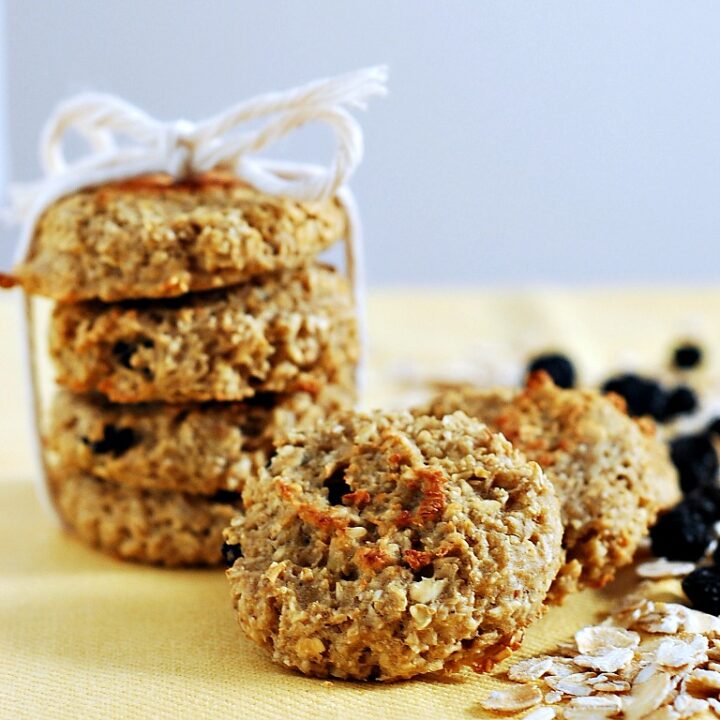 Apple dog treats recipe oatmeal sale