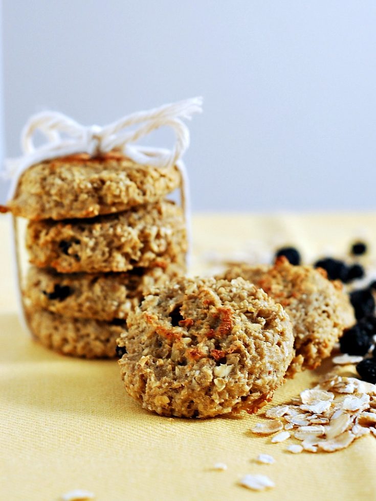 Apple dog biscuit recipe hotsell