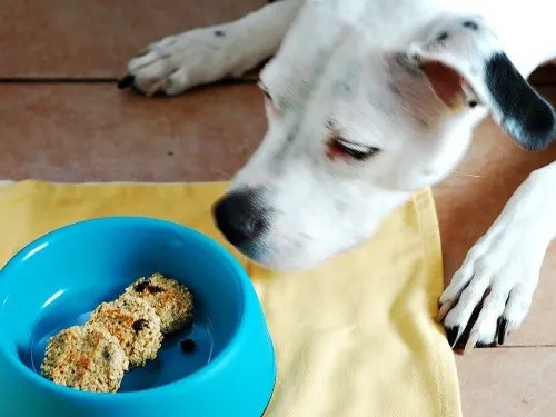 Apple Blueberry Oat Dog Biscuits by The Redhead Baker