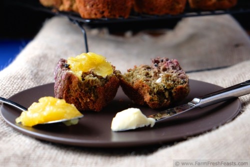 Blueberry Beet Honey Oat Muffins by Farm Fresh Feasts