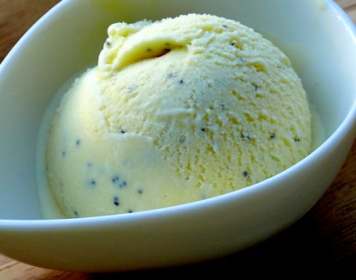 Lemon Poppyseed Ice Cream by Noble Pig
