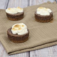 Mini S'mores Cheesecakes #WhatsBaking