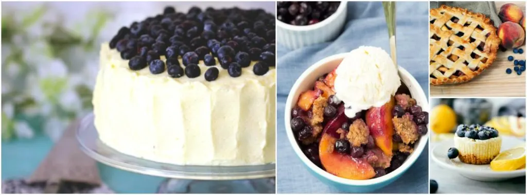 July 10th is National Blueberry Picking Day, so I've compiled over 160 recipes, sweet and savory, to help you use those blueberries.