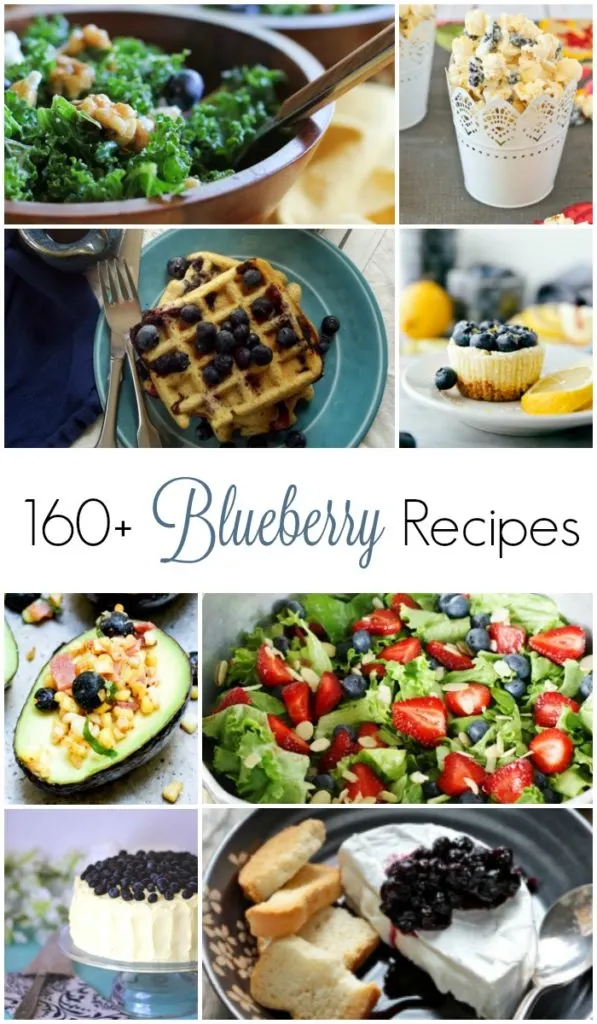 July 10th is National Blueberry Picking Day, so I've compiled over 160 recipes, sweet and savory, to help you use those blueberries.