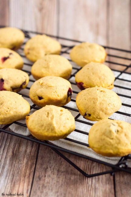 Two soft, light pumpkin cookies studded with fresh cranberries are sandwiched with creamy dulce de leche marshmallow filling.