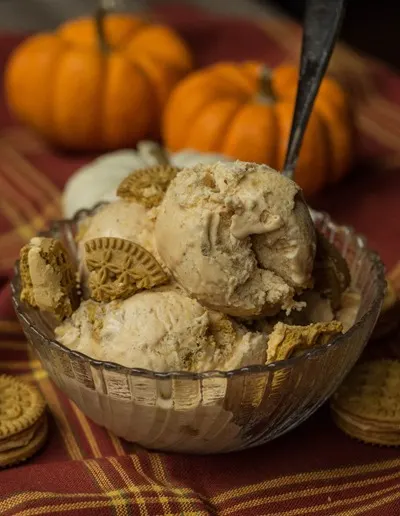 Pumpkin Cookie Ice Cream