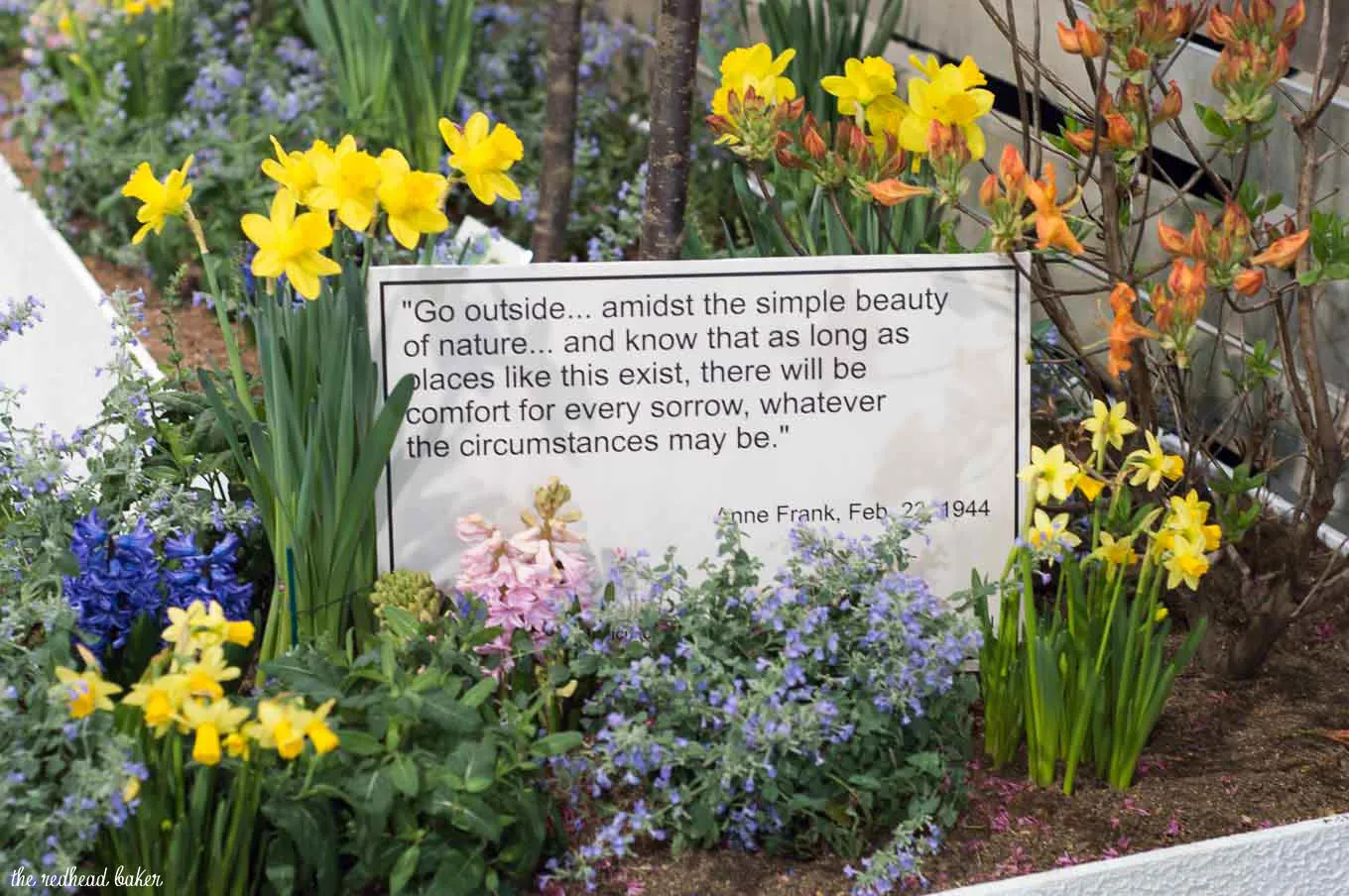 I'm sharing a few photos from this year's annual Philadelphia Flower Show, an event put on the Philadelphia Horticultural Society. This year's theme is Holland.