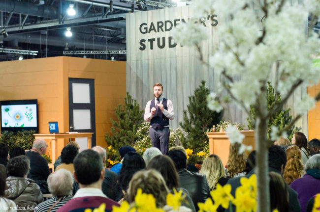 I'm sharing a few photos from this year's annual Philadelphia Flower Show, an event put on the Philadelphia Horticultural Society. This year's theme is Holland.