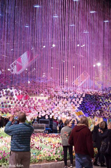 I'm sharing a few photos from this year's annual Philadelphia Flower Show, an event put on the Philadelphia Horticultural Society. This year's theme is Holland.