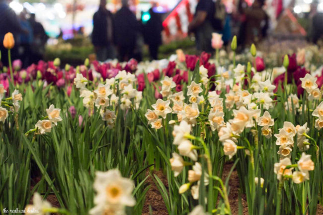 I'm sharing a few photos from this year's annual Philadelphia Flower Show, an event put on the Philadelphia Horticultural Society. This year's theme is Holland.