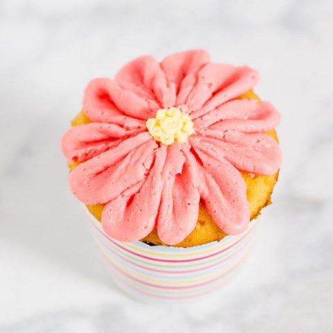 With buttercream icing and a few simple tools, use this tutorial to turn your favorite cupcakes into beautiful gerbera daisy cupcakes for any spring occasion!