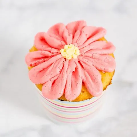 With buttercream icing and a few simple tools, use this tutorial to turn your favorite cupcakes into beautiful gerbera daisy cupcakes for any spring occasion!