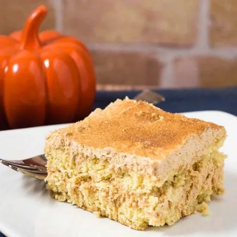 This pumpkin tiramisu is a light and airy twist on the Italian classic. It's no-bake and best when made ahead, which makes it perfect for a holiday dessert! #PumpkinWeek