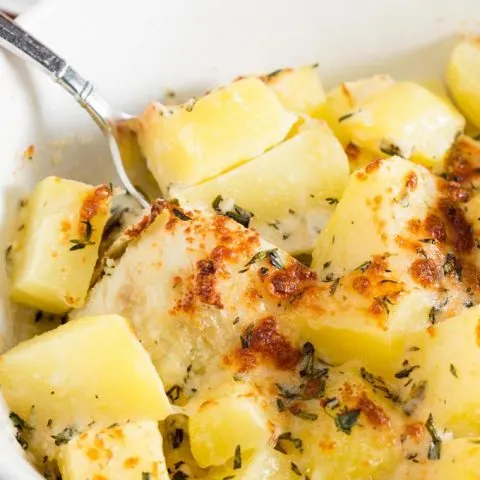 Fennel is often-overlooked fall vegetable with a slight licorice flavor. Cream-braised fennel and potatoes is a decadent side dish perfect for Thanksgiving. 