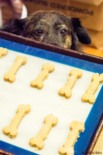 Pumpkin apple dog biscuits are a healthy, crunchy treat for your furry friend. Substitute almond flour for the wheat flour if your dog can't have grains.