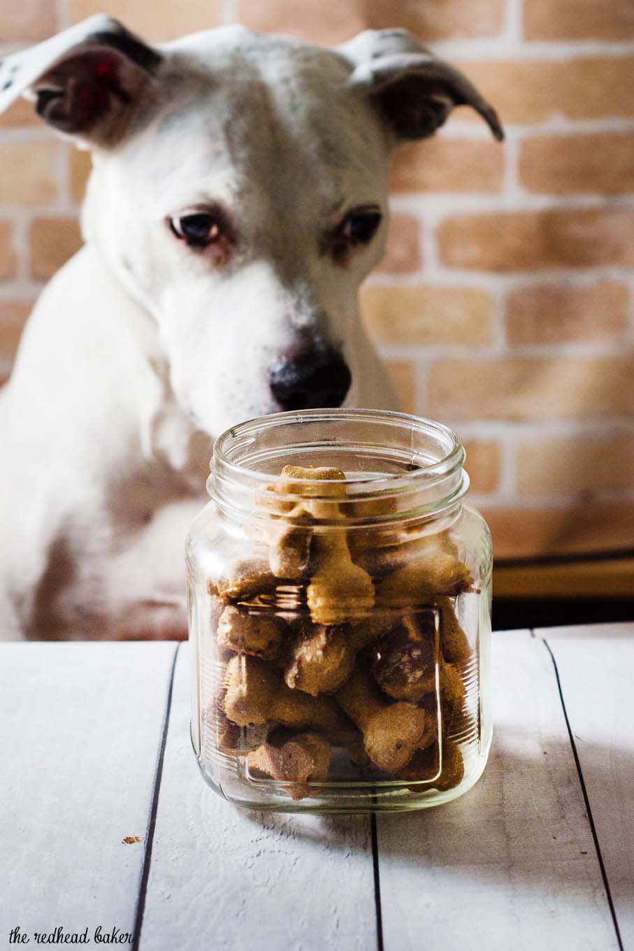 Pumpkin apple dog biscuits are a healthy, crunchy treat for your furry friend. Substitute almond flour for the wheat flour if your dog can't have grains.