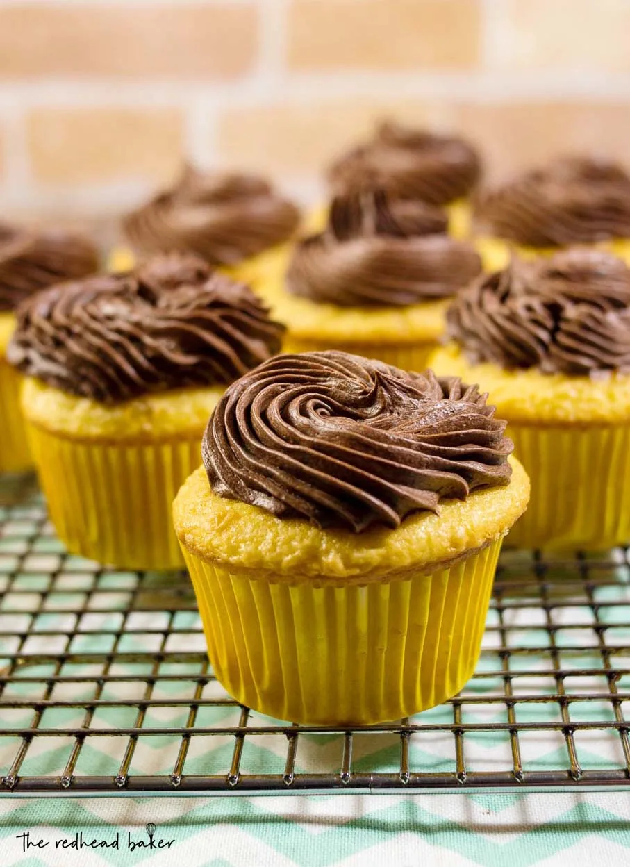 Boston cream cupcakes have all the flavors of Boston Cream Pie in cupcake form: buttery yellow cake, vanilla pastry cream filling, and rich chocolate ganache frosting.