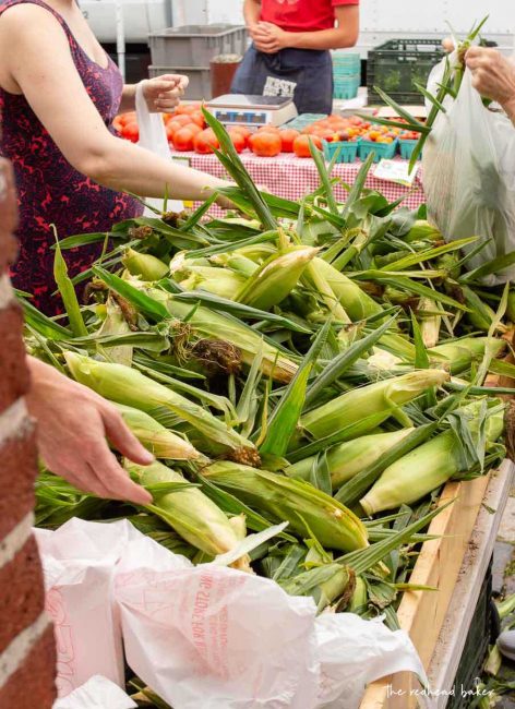 A bin of fresh corn on the cob at Headhouse Farmers Market in Philadelphia, PA.