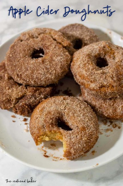 A plate of cider doughnuts.