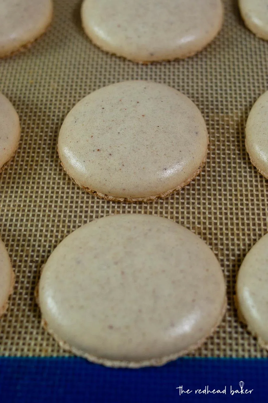 Baked shells for eggnog macarons