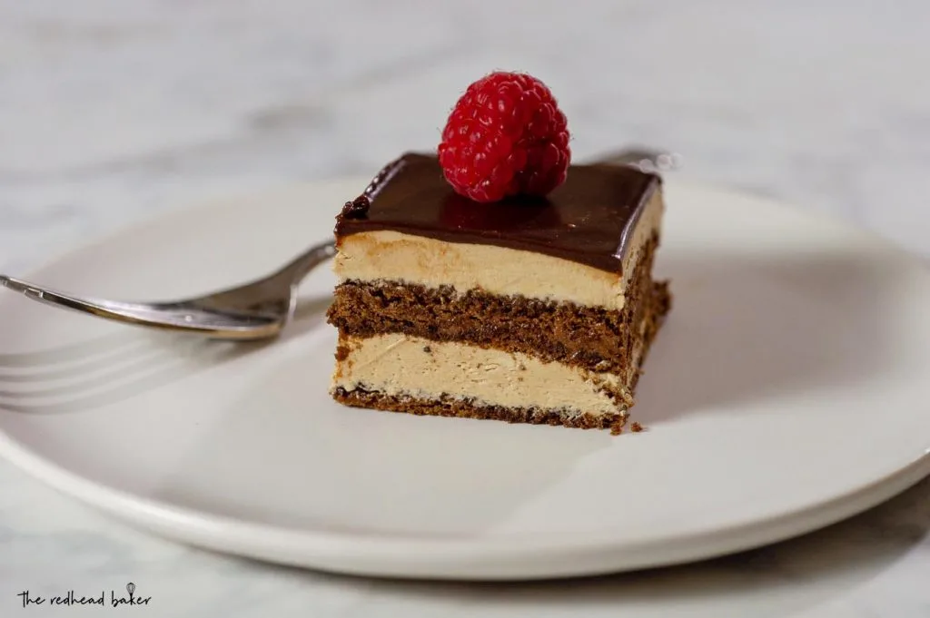A slice of chocolate opera cake on a white plate garnished with a fresh raspberry