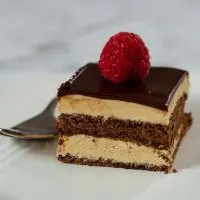 Chocolate Opera Cake