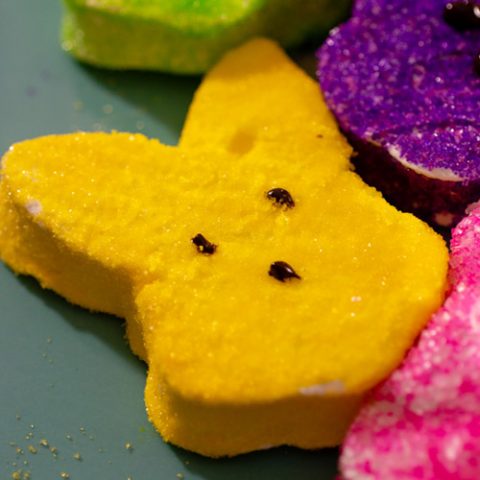 A homemade bunny marshmallow coated in yellow sanding sugar