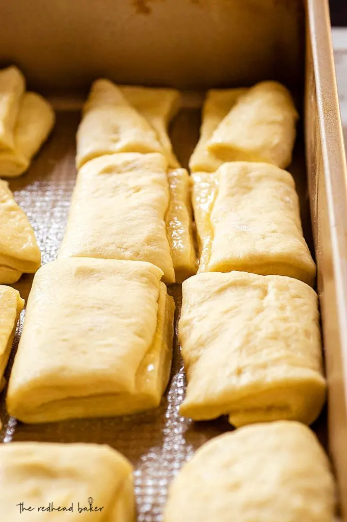 Shaped Parker House rolls being proofed in a baking pan