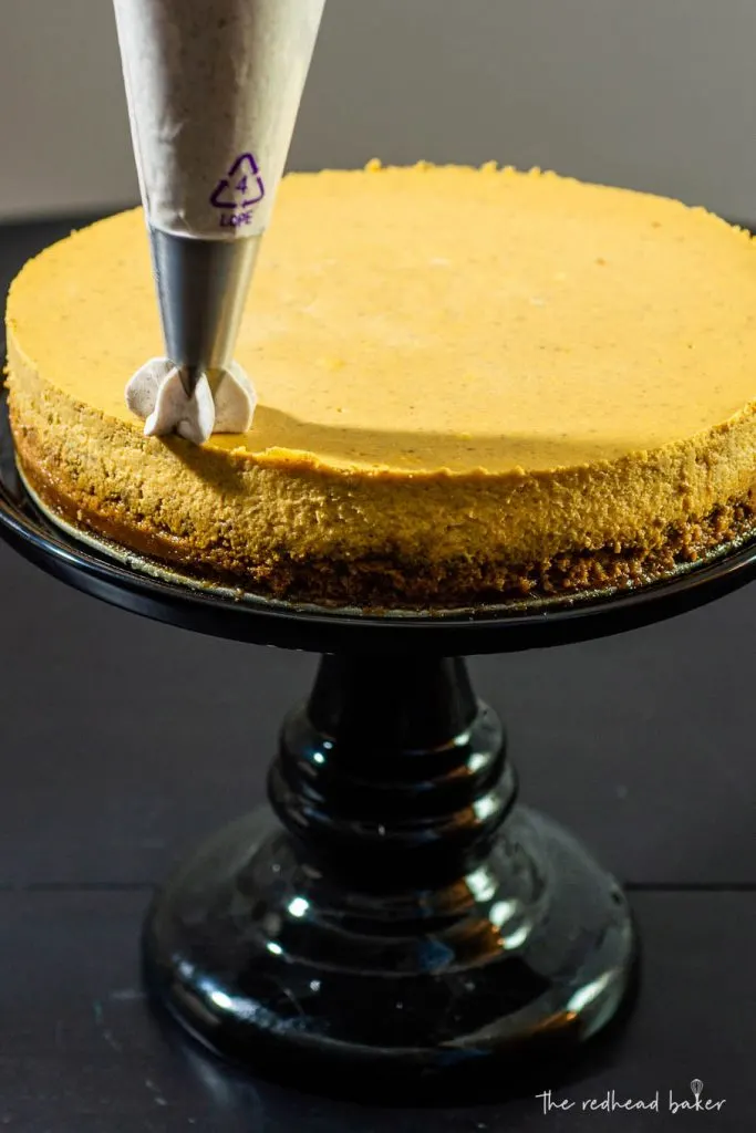 Spiced whipped cream being piped onto a pumpkin cheesecake