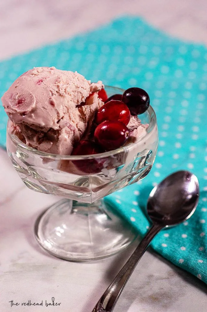 A dish of cranberry amaretto ice cream garnished with fresh cranberries