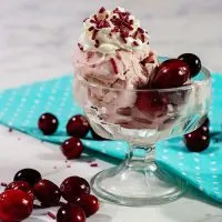 Cranberry Amaretto Ice Cream