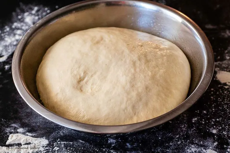 A bowl of fully risen Italian bread dough