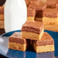 Chocolate-Frosted Peanut Butter Blondies