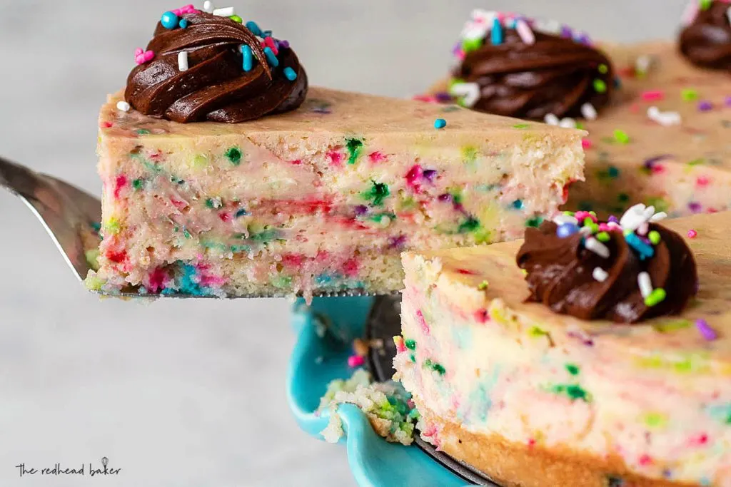 A slice of cheesecake being pulled away on a serving spatula