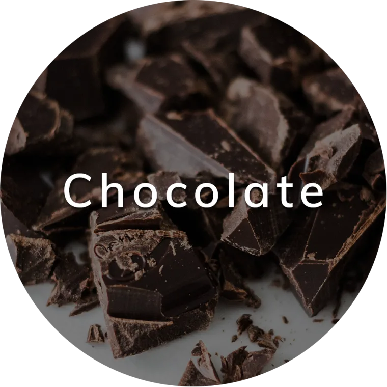 Chocolate Recipes