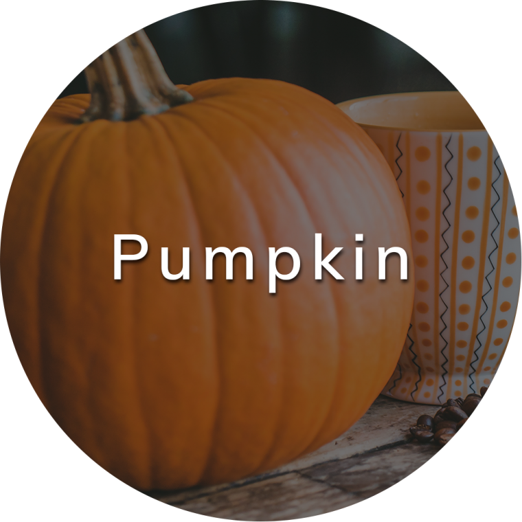Pumpkin Recipes