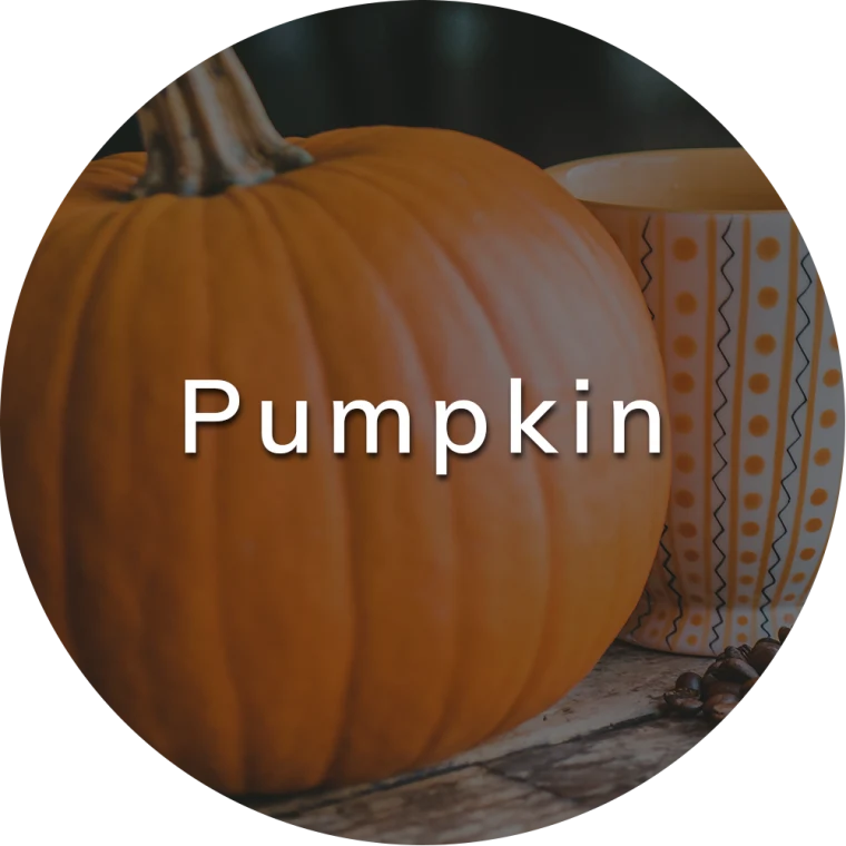 Pumpkin Recipes