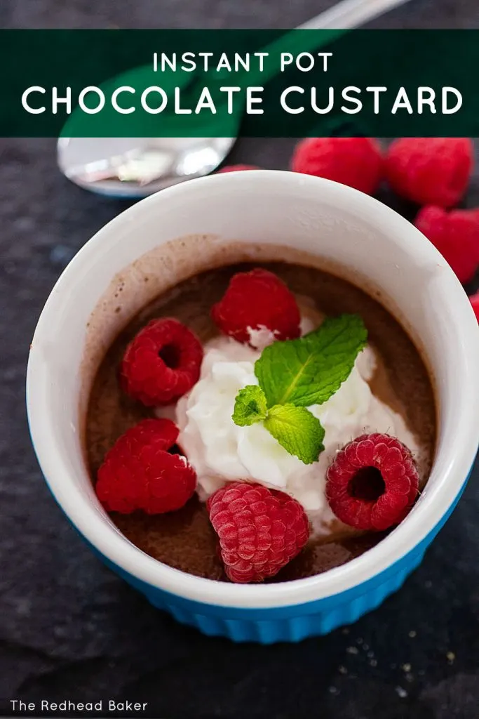 A ramekin of Instant Pot chocolate custard topped with whipped cream, fresh raspberries and a sprig of mint