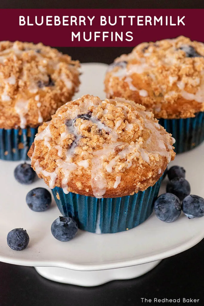 Three blueberry buttermilk muffins on a white serving stand alongside fresh blueberries