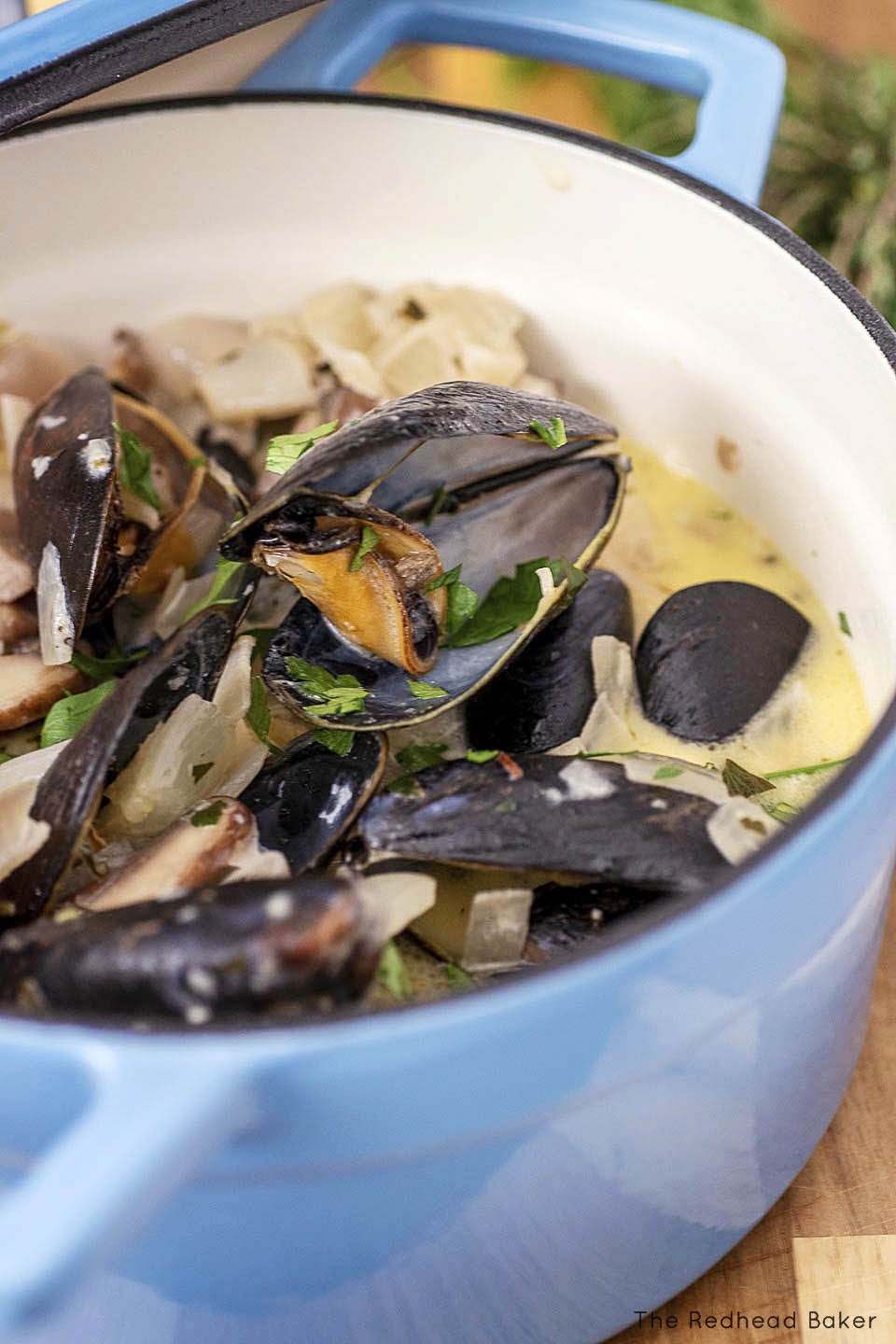Moules à la Normande (NormandyStyle Mussels) — The Redhead Baker