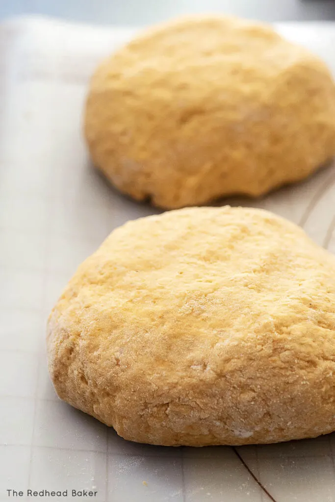 Two rounds of pumpkin gnocchi dough