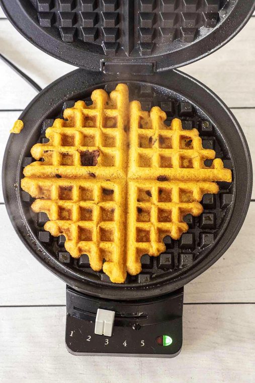 A cooked pumpkin chocolate chip waffle still in the waffle iron.