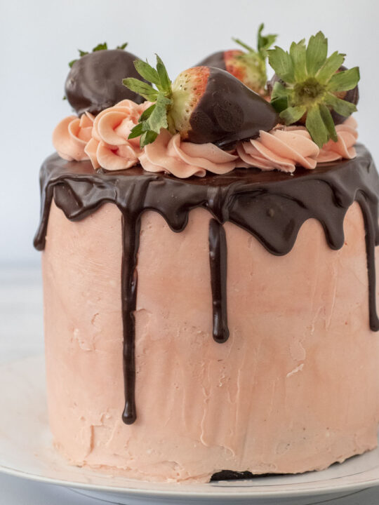 Dark Chocolate Covered Strawberry Cake - Lo's Kitchen