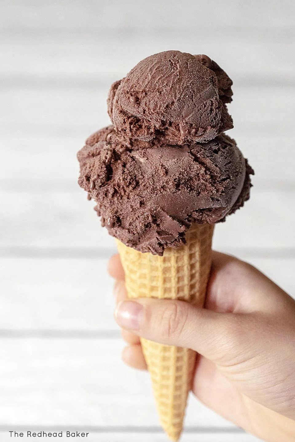 Chocolate & Cocoa Powder Ice Cream